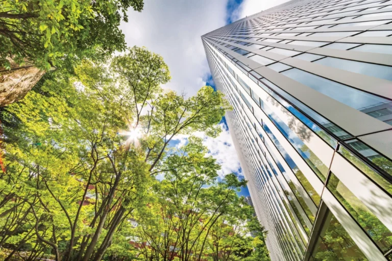 Talls Trees beside an Urban Skyscaper Building Talls Trees beside an Urban Skyscaper Building