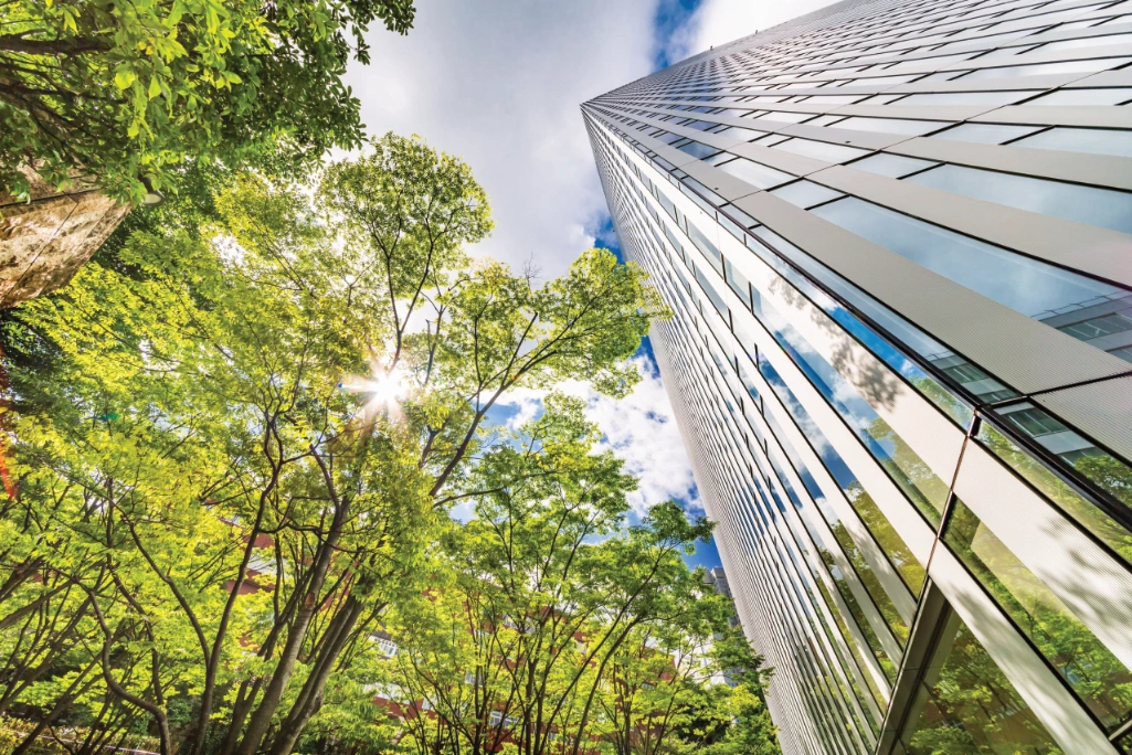 Talls Trees beside an Urban Skyscaper Building Talls Trees beside an Urban Skyscaper Building