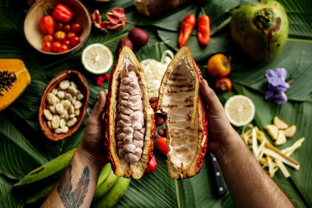 Someone holding freshly opened cacao fruit with its flesh visible and variety of jungle, tropical fruits and ingredients in the background from San Martin, Peru