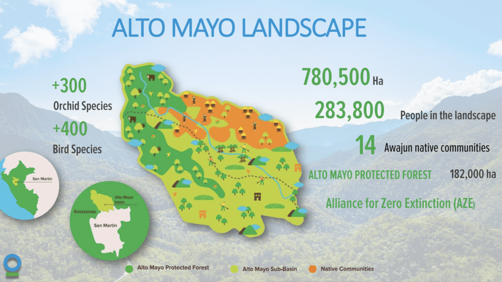 Infographic of the Alto Mayo Landscape