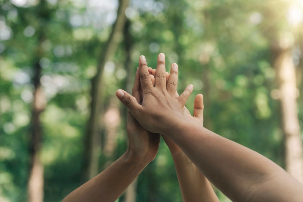 High fives in a forest High fives in a forest