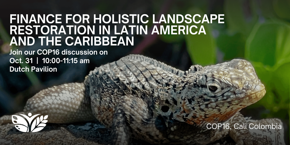 Finance for Holistic Landscape Restoration in Latin America and the Caribbean
