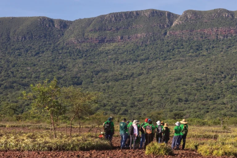 Forest Leaders for Integrated Landscape Management in Pantanal Forest Leaders for Integrated Landscape Management in Pantanal
