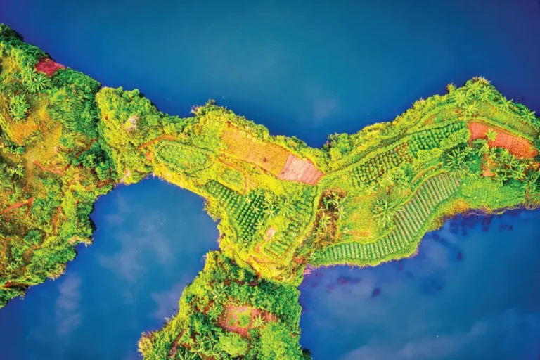 Aerial view of lush farmland in Banten, Indonesia with vibrant greenery and water Aerial view of lush farmland in Banten, Indonesia with vibrant greenery and water