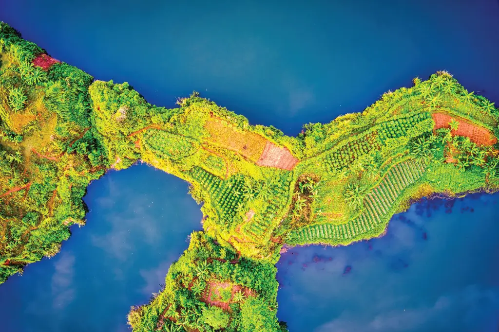 Aerial view of lush farmland in Banten, Indonesia with vibrant greenery and water Aerial view of lush farmland in Banten, Indonesia with vibrant greenery and water