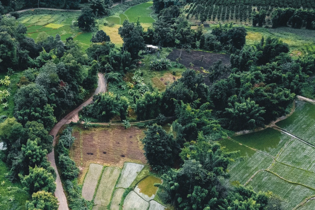 Biodiverse landscape with various trees and crops Biodiverse landscape with various trees and crops