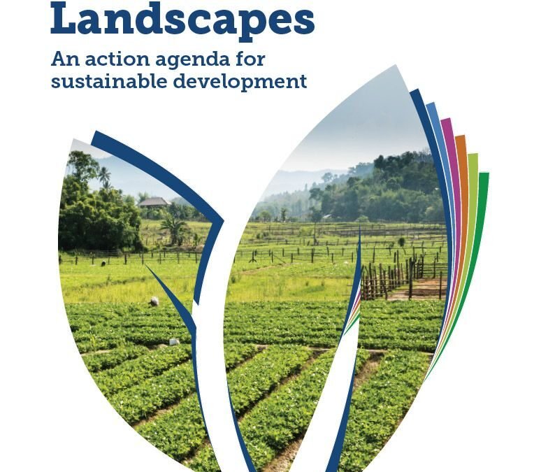 Business for Sustainable Landscapes