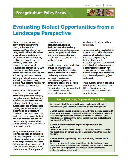 Evaluating Biofuel Opportunities from a Landscape Perspective