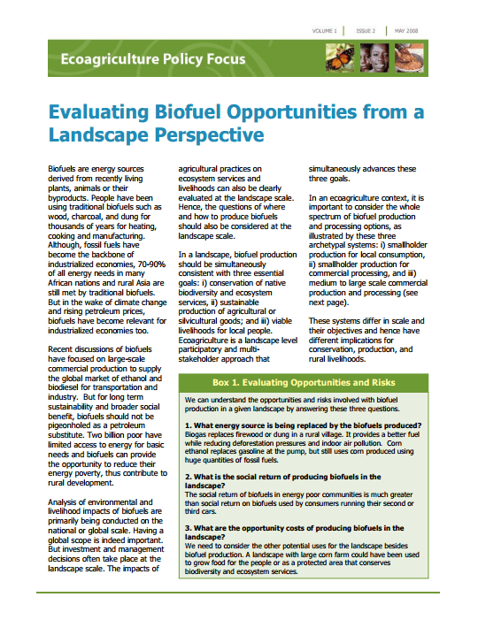 Evaluating Biofuel Opportunities from a Landscape Perspective Evaluating Biofuel Opportunities from a Landscape Perspective