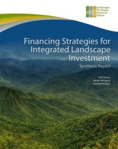 Financing Strategies Synthesis