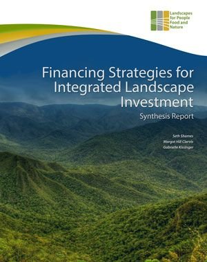 Financing Strategies Synthesis Financing Strategies Synthesis