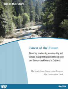 Forest of the Future Forest of the Future