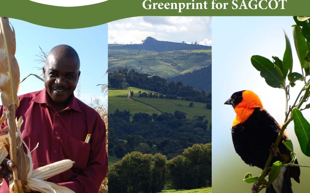Green Growth Opportunities for Businesses and Investors