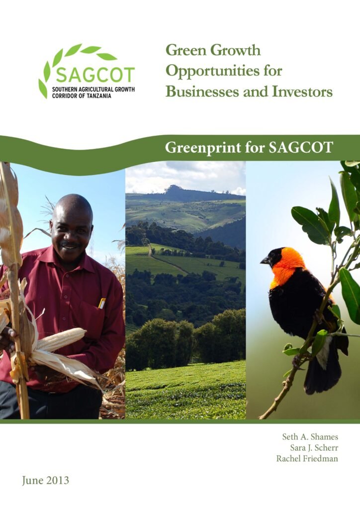 Green Growth Opportunities for Businesses and Investors