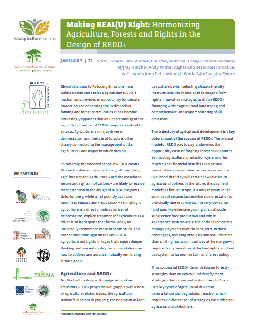 Making REAL(U) Right: Harmonizing Agriculture, Forests and Rights in the Design of REDD+