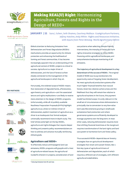 Harmonizing Agriculture, Forests and Rights in the Design of REDD Harmonizing Agriculture, Forests and Rights in the Design of REDD