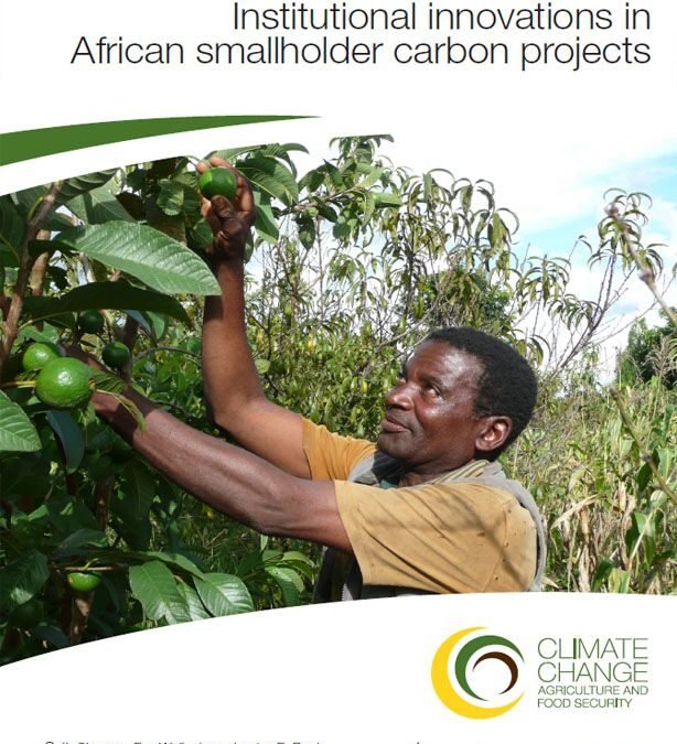 Institutional innovations in African smallholder carbon projects