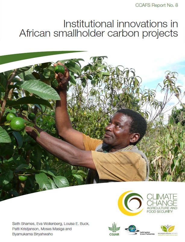 Institutional innovations in African smallholder carbon projects Institutional innovations in African smallholder carbon projects