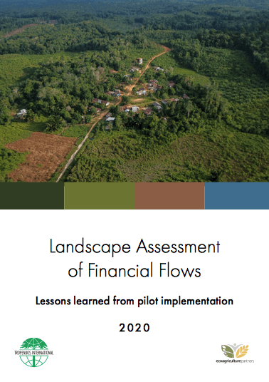 Landscape Assessment of Financial Flows Landscape Assessment of Financial Flows