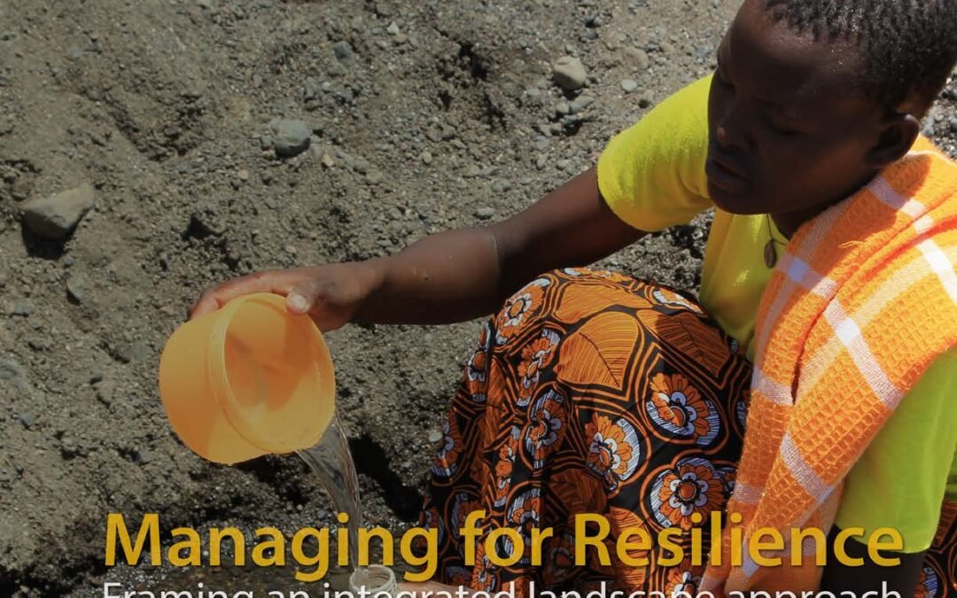 Managing for Resilience