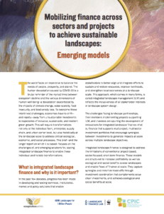 Mobilizing finance across sectors and projects to achieve sustainable landscapes Emerging models
