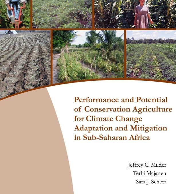 Performance and Potential of Conservation Agriculture for Climate Change Adaptation and Mitigation in Sub-Saharan Africa