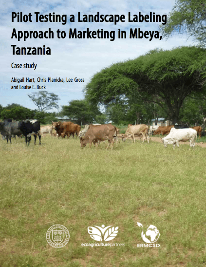 Pilot testing a landscape labeling approach to marketing in Mbeya, Tanzania