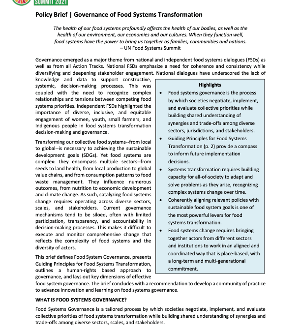 Policy: Governance of Food Systems Transformation