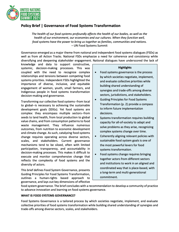 Policy: Governance of Food Systems Transformation