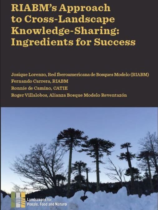 RIABM’s Approach to Cross-Landscape Knowledge-Sharing: Ingredients for Success