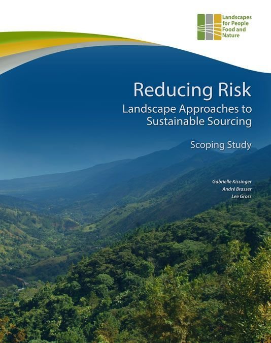 Reducing Risk Landscape Approaches to Sustainable Sourcing – Scoping Study Reducing Risk Landscape Approaches to Sustainable Sourcing – Scoping Study