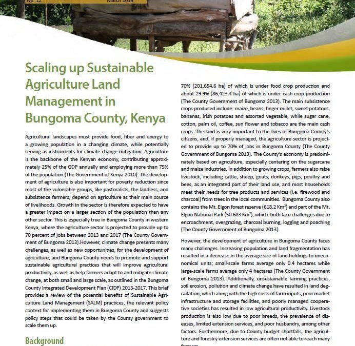 Scaling up Sustainable Agricultural Land Management in Bungoma County, Kenya