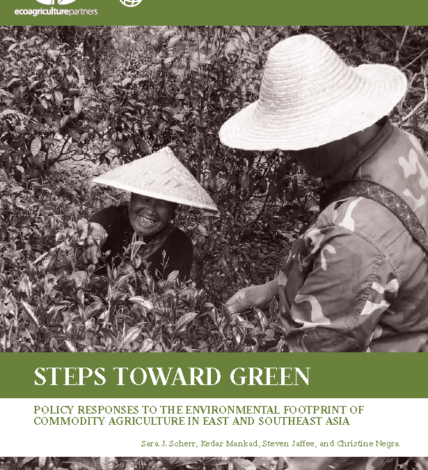Steps Toward Green
