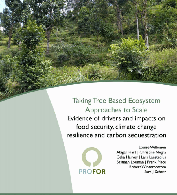 Taking Tree-based Ecosystem Approaches to Scale
