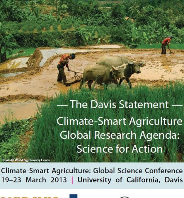 The Davis Statement