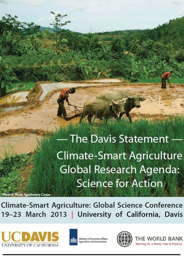 The Davis Statement The Davis Statement