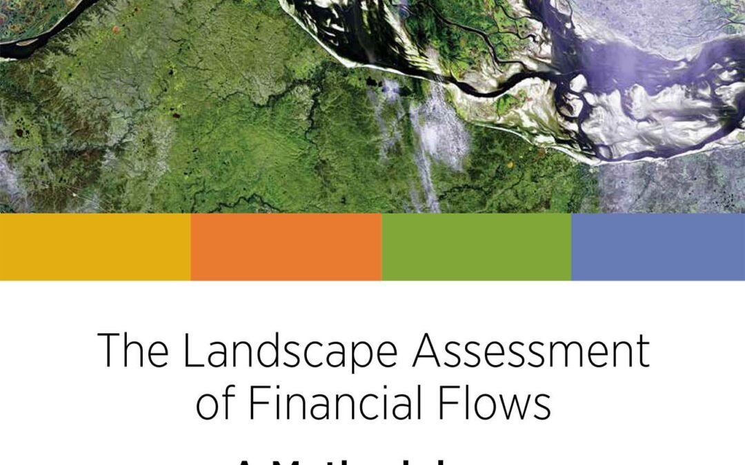 The Landscape Assessment of Financial Flows – A Methodology