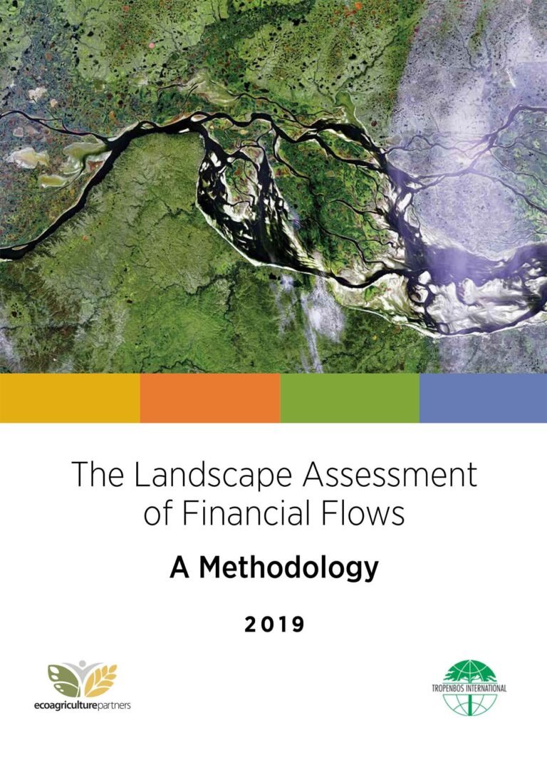 The Landscape Assessment of Financial Flows The Landscape Assessment of Financial Flows