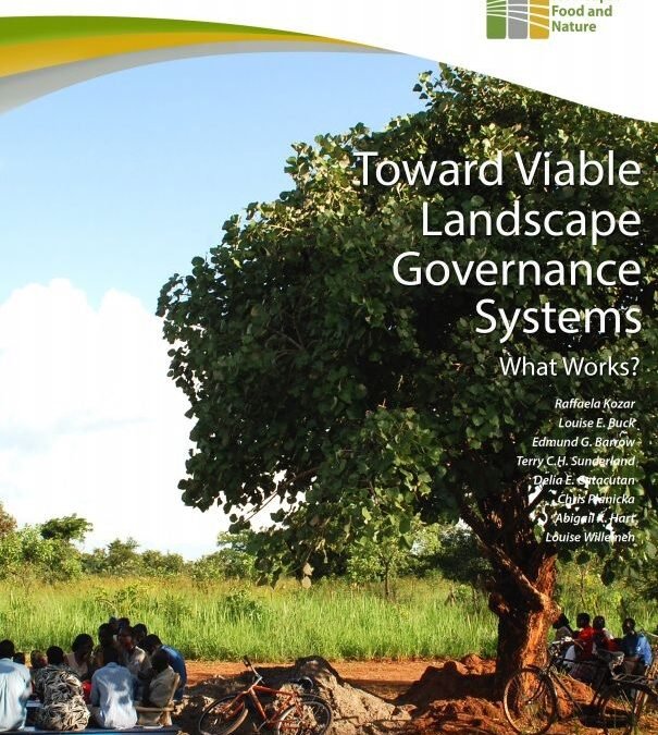 Toward Viable Landscape Governance Systems