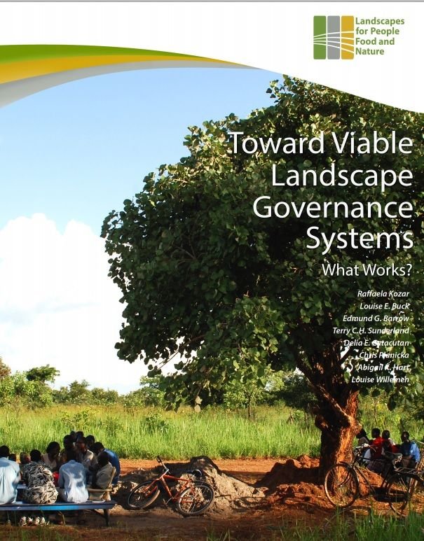 Toward Viable Landscape Governance Systems Toward Viable Landscape Governance Systems