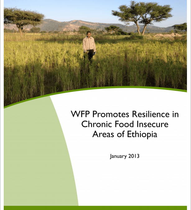 WFP Promotes Resilience in Chronic Food Insecure Areas of Ethiopia