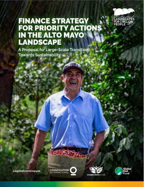 Finance Strategy for Priority Actions in the Alto Mayo Landscape: A Proposal for Large-Scale Transition Towards Sustainability