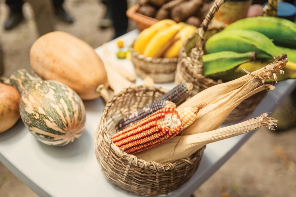 Examples of locally-grown fruit and vegetables
