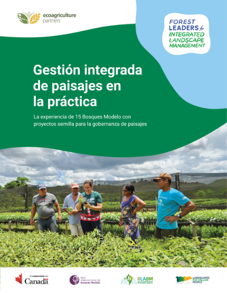 GIP en la práctica portada