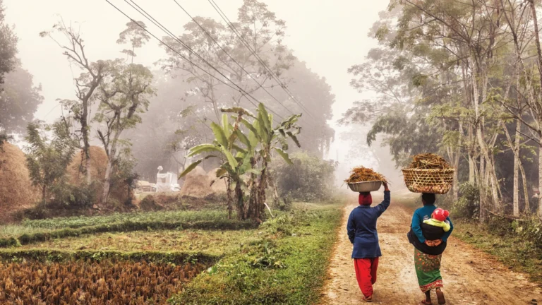people carry their harvest down a misty road people carry their harvest down a misty road
